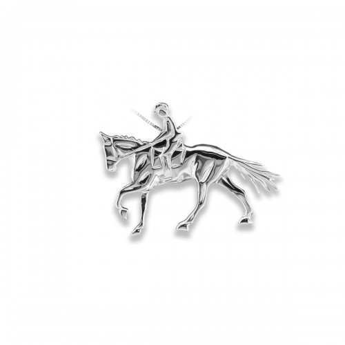 Jewel Horse Riding necklace...