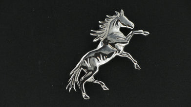 GIOIELLO CAVALLO EQUITAZIONE